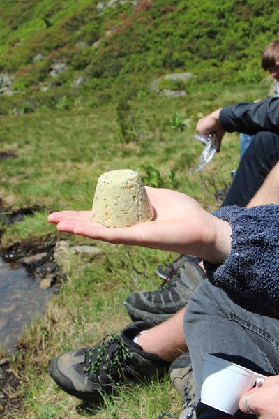 Projekt Käse Herstellung